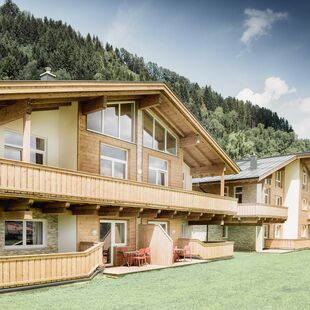 Chalet & Apartment AreitXpress Zell am See