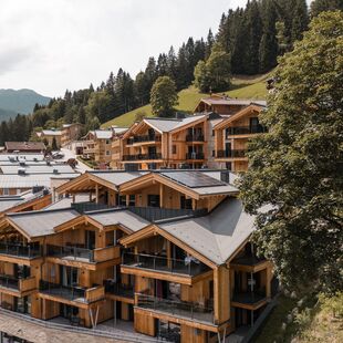 Residence Glemmrise Viehhofen